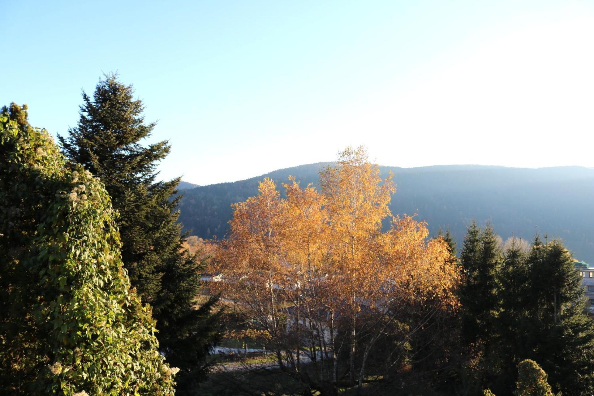 Top Five See & Bergblick - Haus Seepromenade Döbriach Eksteriør bilde