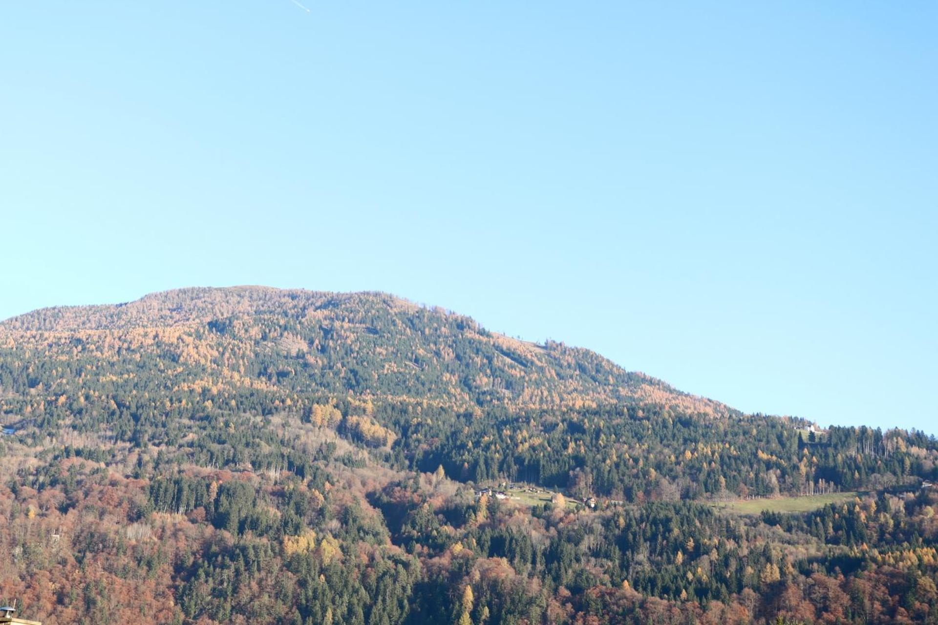 Top Five See & Bergblick - Haus Seepromenade Döbriach Eksteriør bilde